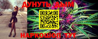 прущие крисы Новозыбков