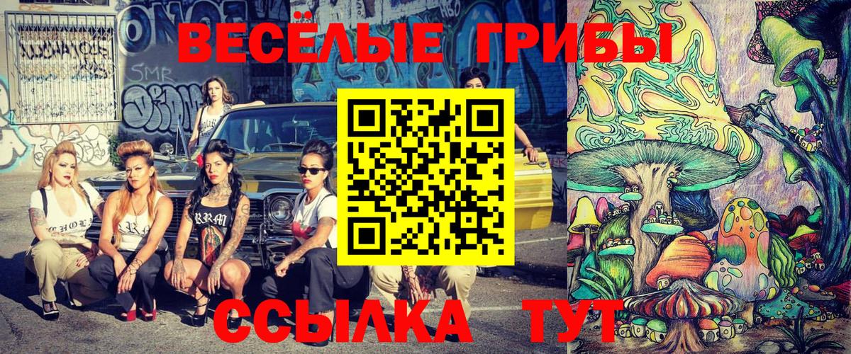 Псилоцибиновые грибы GOLDEN TEACHER Урай